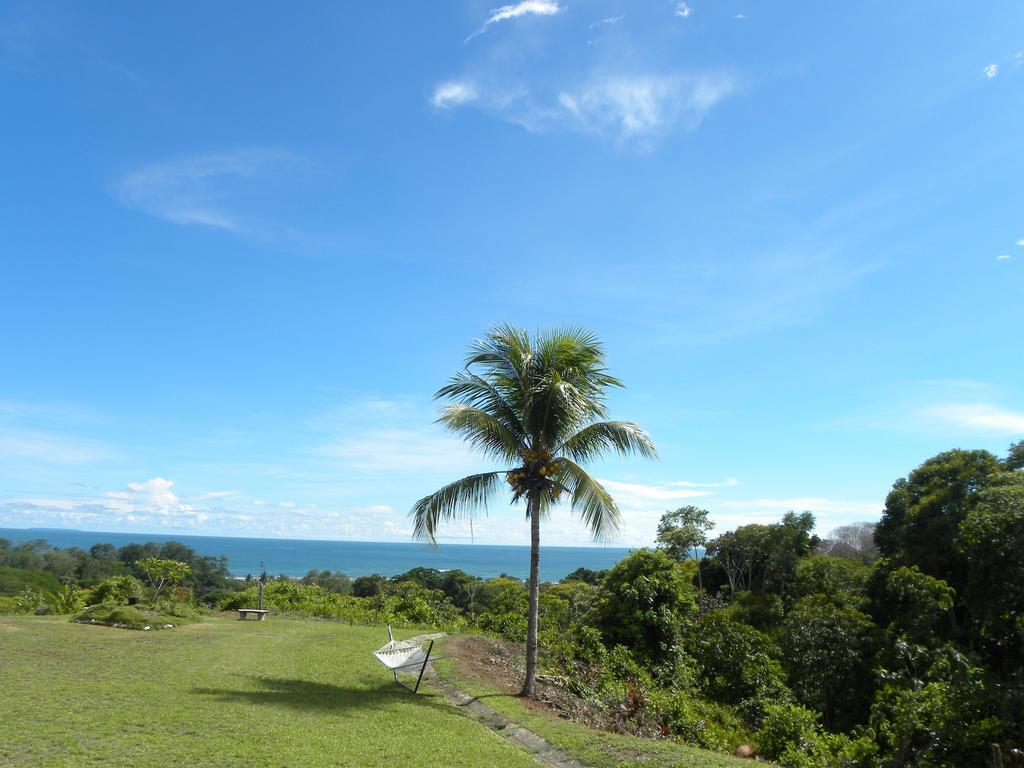 Hotel Lookout Playa Tortuga Охочаль Номер фото
